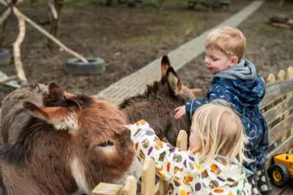 Nursery photograph 1774947786146 - profile view