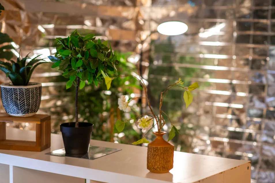 Nursery photograph 1773228677105 - profile view