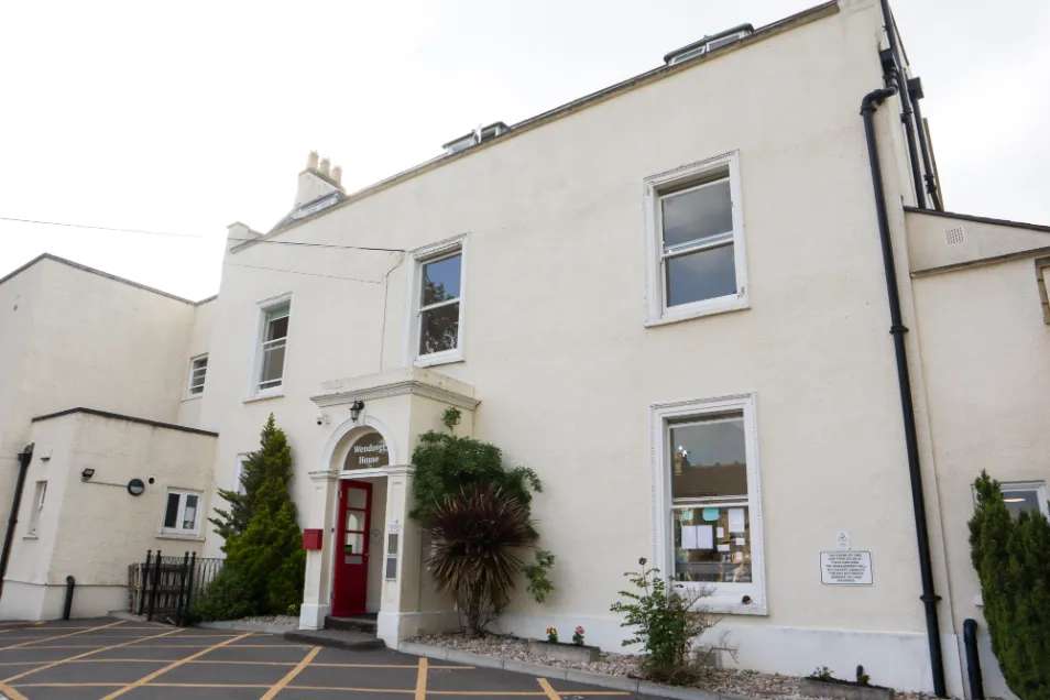 Nursery photograph 1771577463447 - profile view