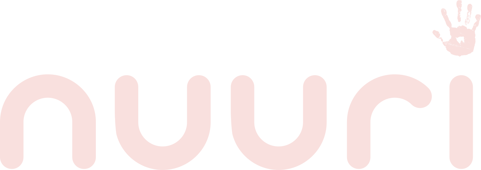 Nuuri logo