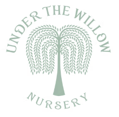 Under the Willow Nursery