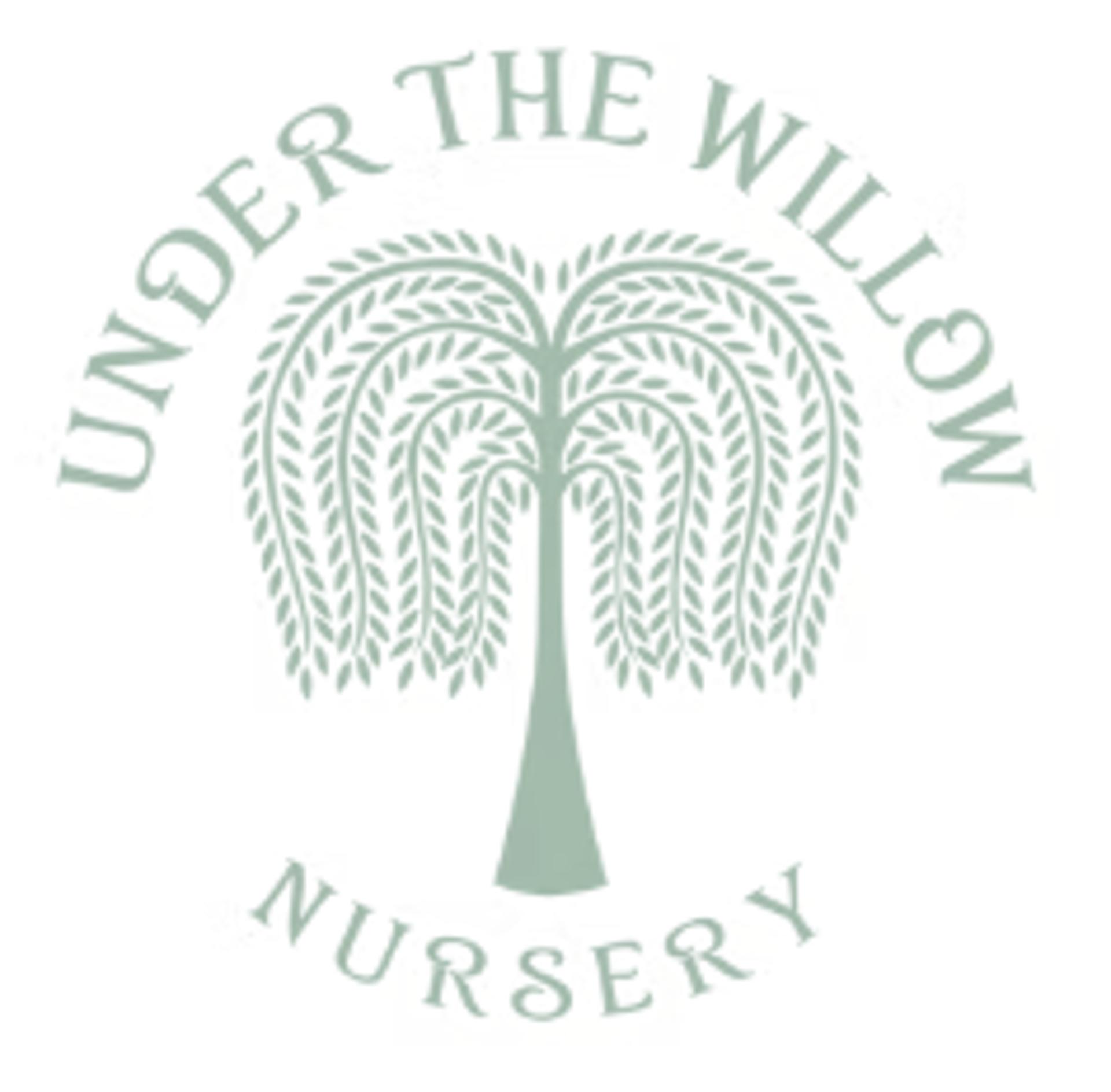 Under the Willow Nursery logo