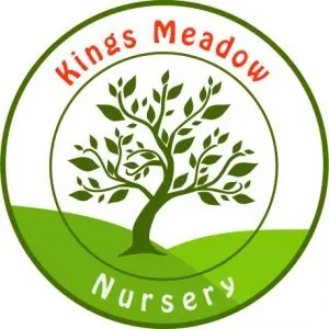 Kings Meadow Nursery logo