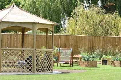 Profile image 1773740786356 of 12 Nursery photograph 1773740786356 - profile view