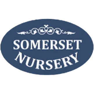 Somerset Nursery logo