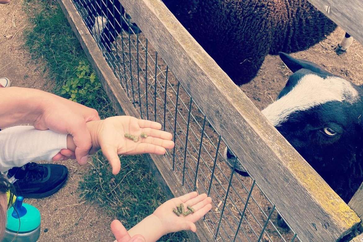 Profile image 1764083511915 of 10 Nursery photograph 1764083511915 - profile view