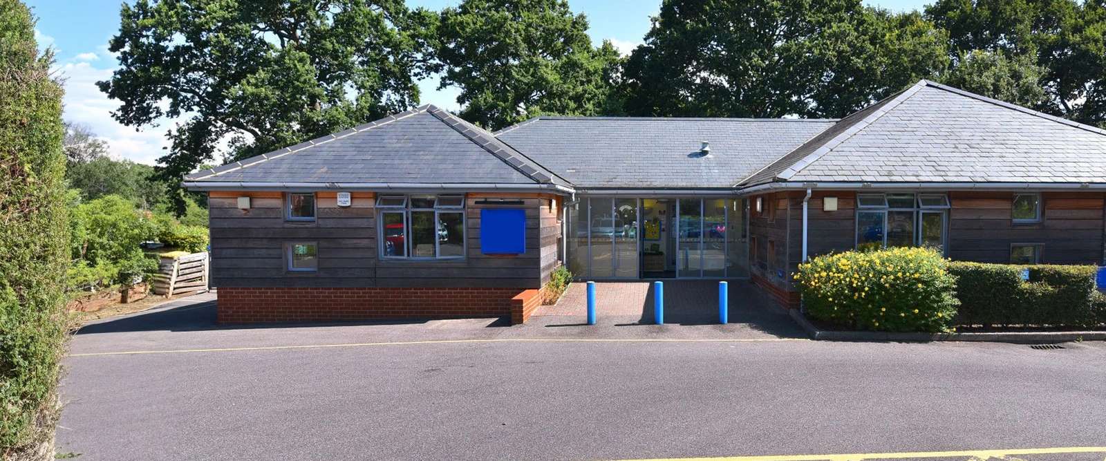 Profile image 1775136165301 of 6 Nursery photograph 1775136165301 - profile view