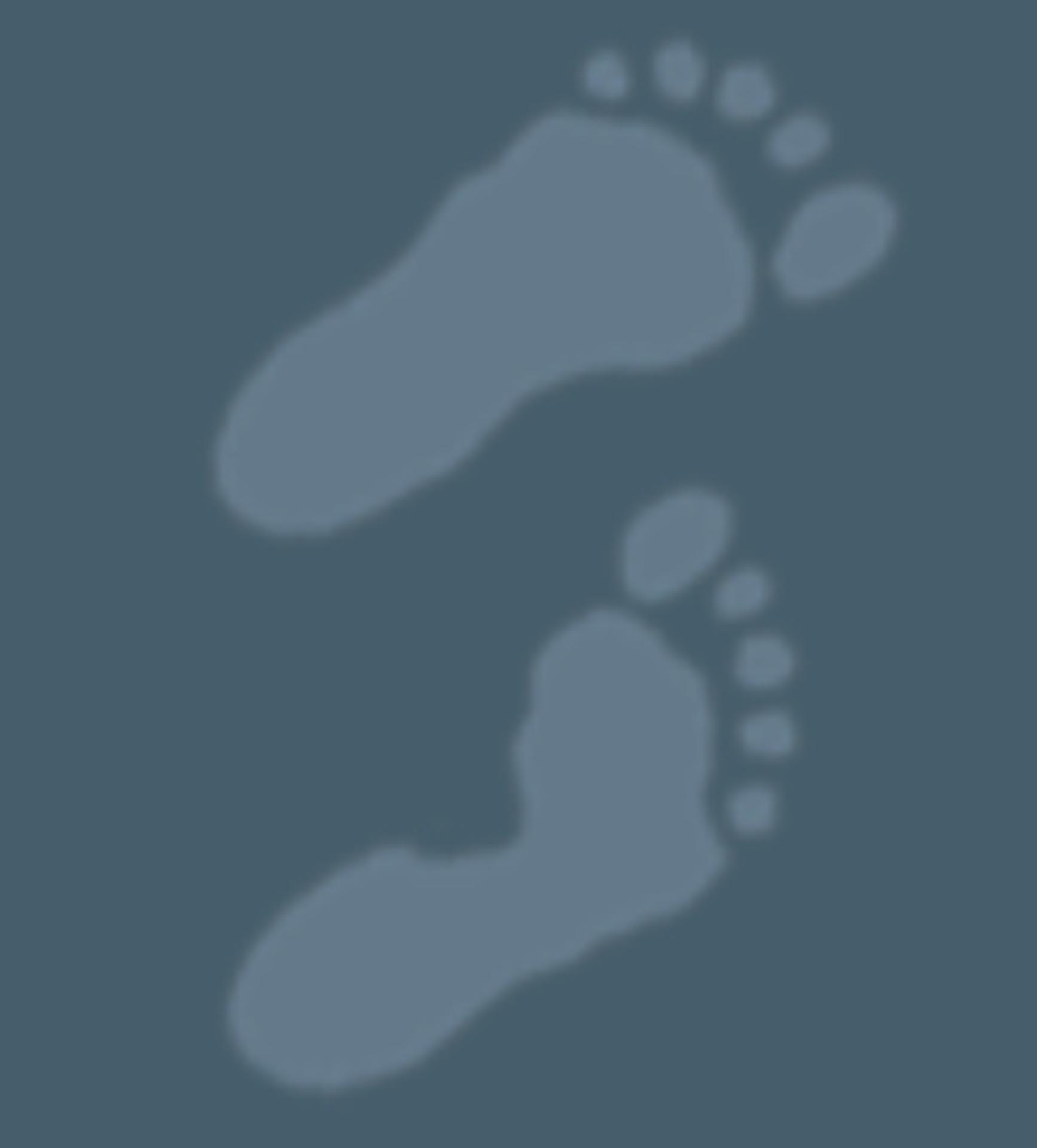 1st Steps Day Nursery logo